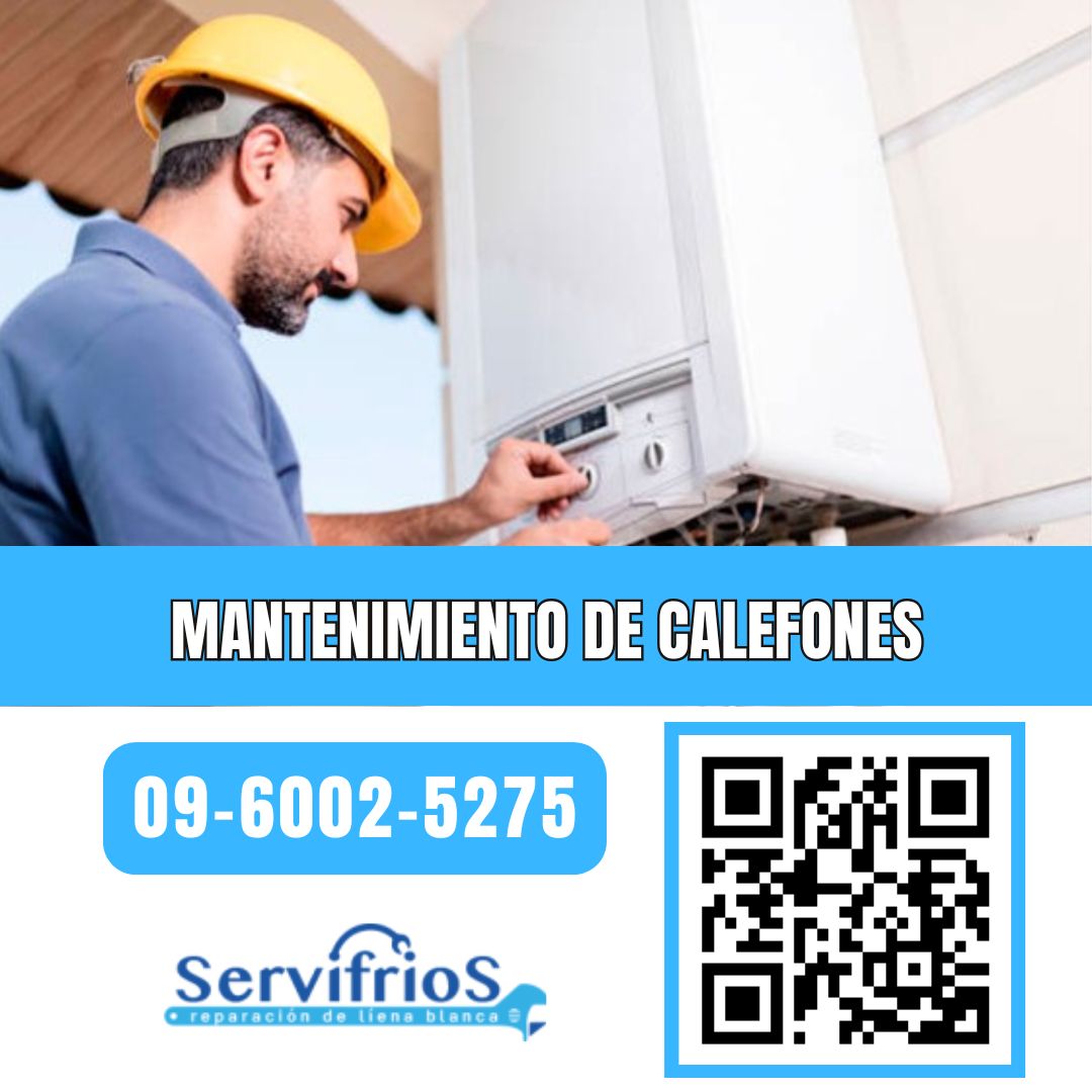 mantenimiento de calefones