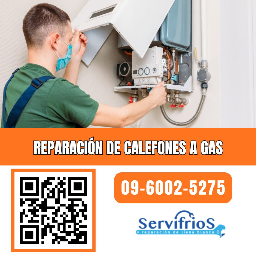 reparacion de calefones a gas