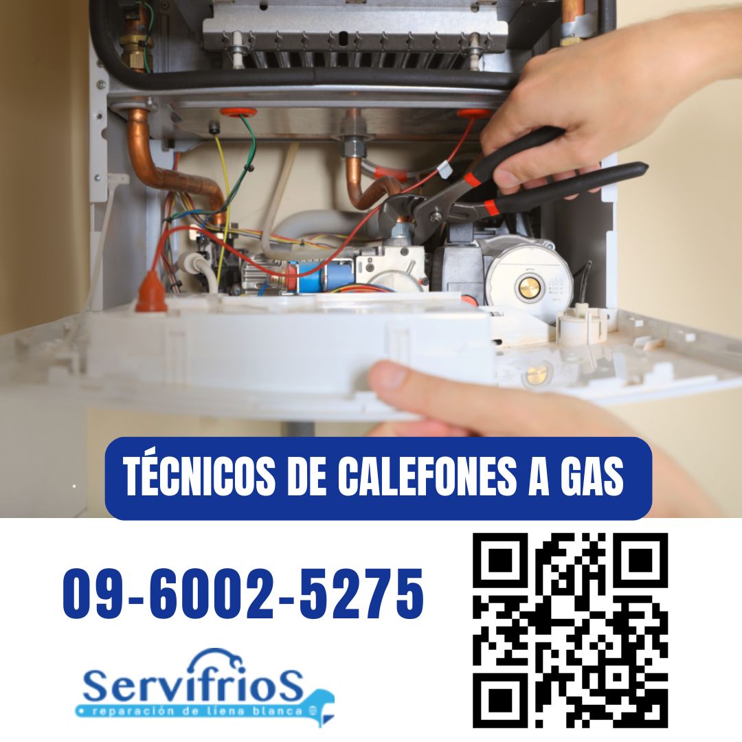 tecnicos de calefones a gas