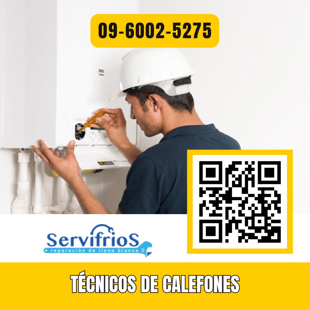 tecnicos de calefones