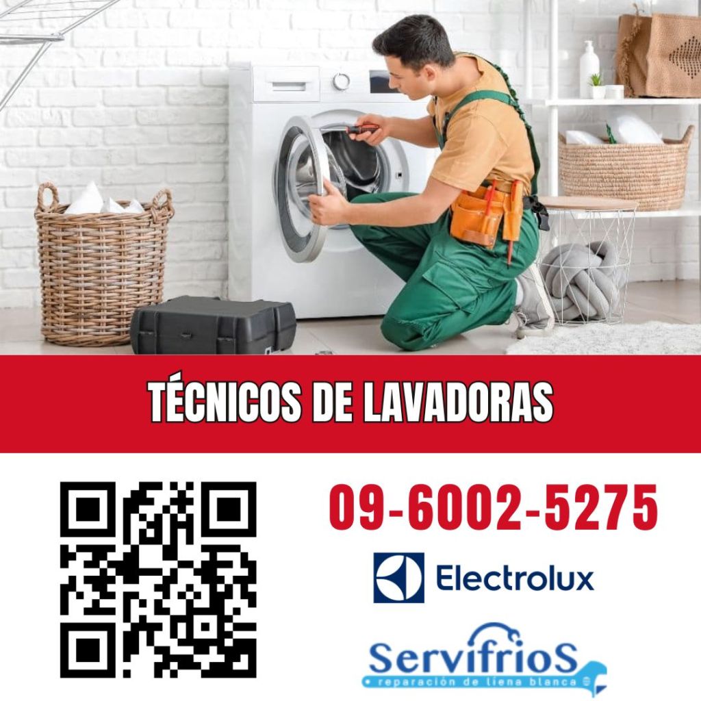 Técnicos de lavadoras Electrolux