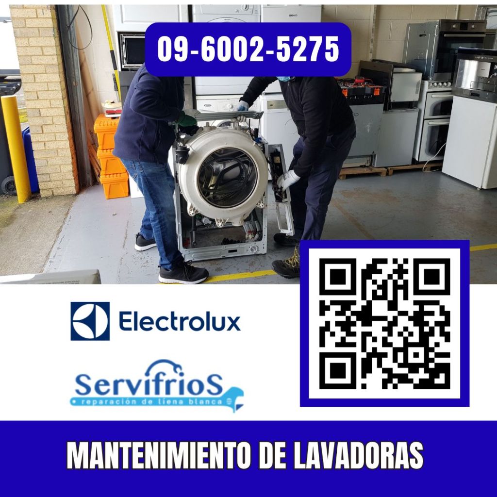 mantenimiento de lavadoras electrolux