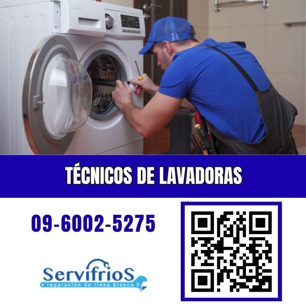 tecnicos de lavadoras